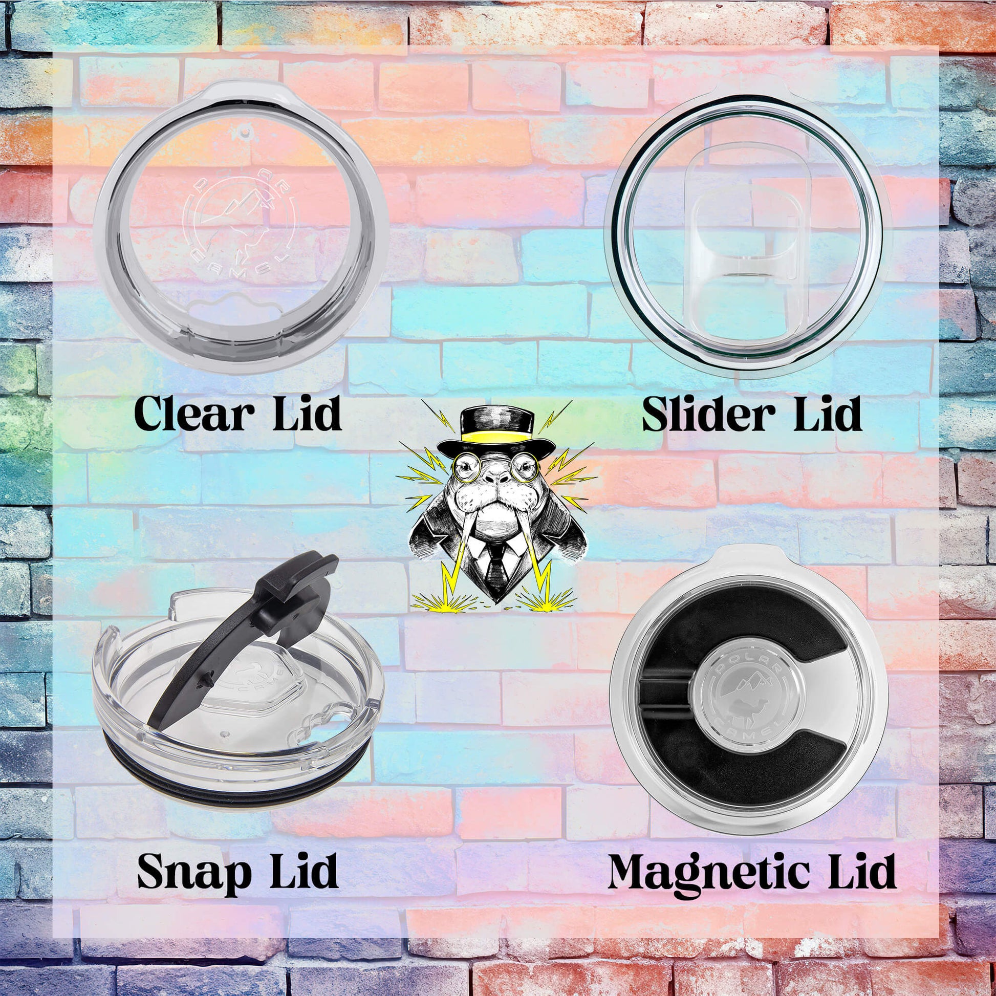 Lid Options: Clear, Slider, Snap, and Magnetic.
